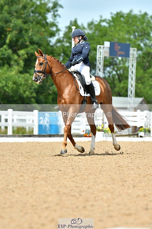 230702A-133037-10026 - Cls 31 Medium 69