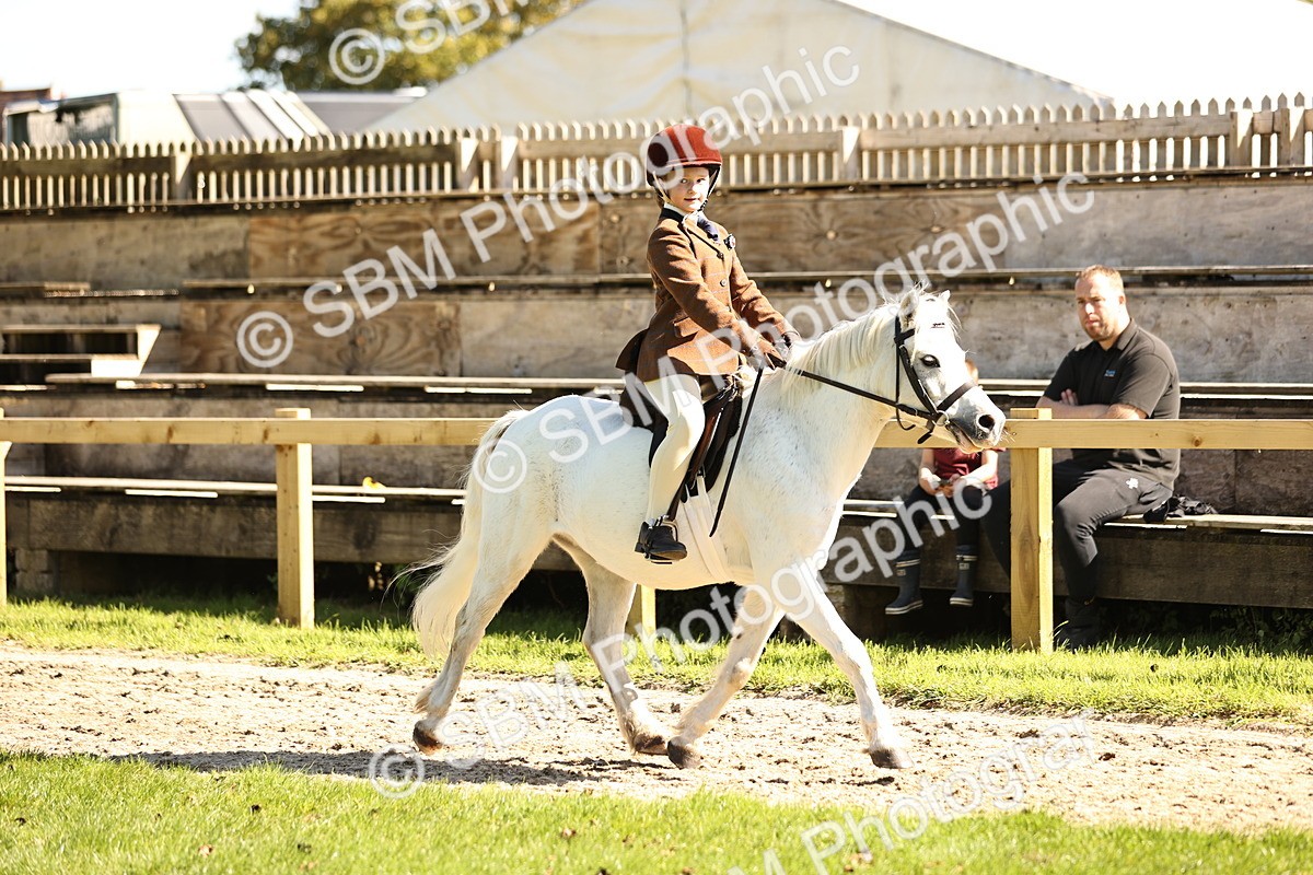 SBM_19257 - S3 - TSR Ridden Pony Showing