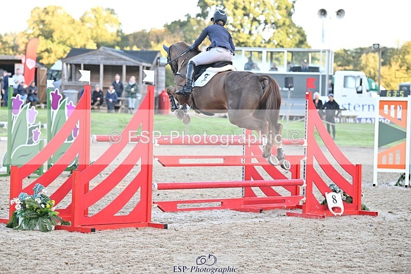 231022-090234-22787 - 213-MGH.HILDARE.HARLEQUIN-Danielle.Mccormack-SJ