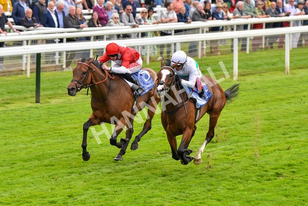 180523-Race 2-Free Wind-9564 - Race 2 2.25pm Al Basti Equiworld Dubai Middleton Fillies' Stakes