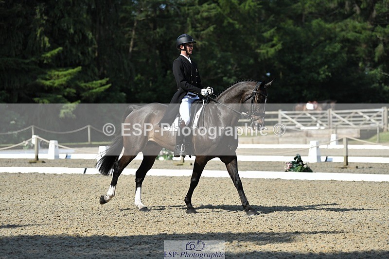 230525-094445-01655 - 309-PLOT_TWIST_B-Tom_Jackson-WEDTrotUp+DR