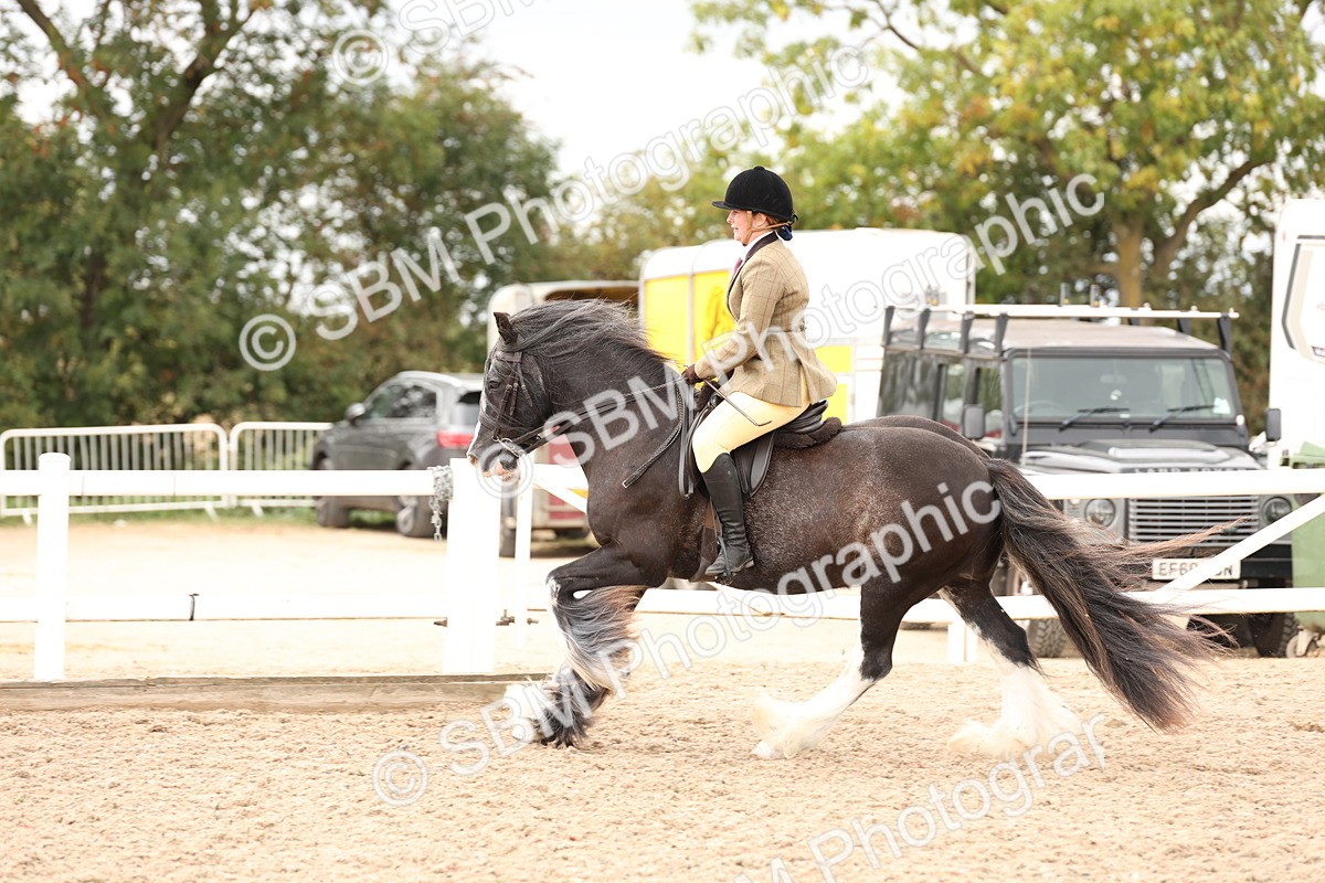 SBM_19678 - Class 216 - Ridden Traditional - Native Cob