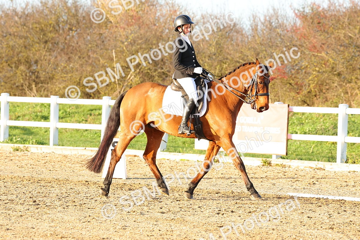 1I0A6399 - Class 11 - Medium 5