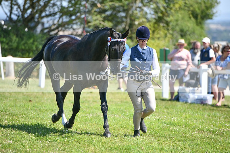 DSC_6935 - Class 58: Hunter/Riding Horse/Hack  4 yr olds +