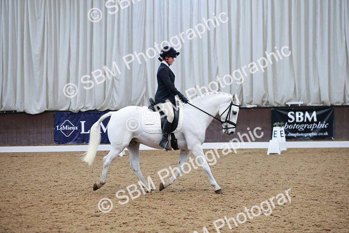 SBM_004491 - Ring 3 - International -  Working Hunter Classes 23-2-25