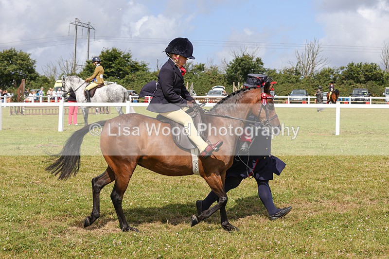 1X9A3649 - Class 29: Lead Rein SP/SHP