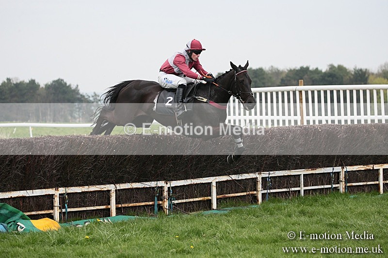 PtP 210418 78 - South & West Wilts Point-to-Point Larkhill 21/04/18