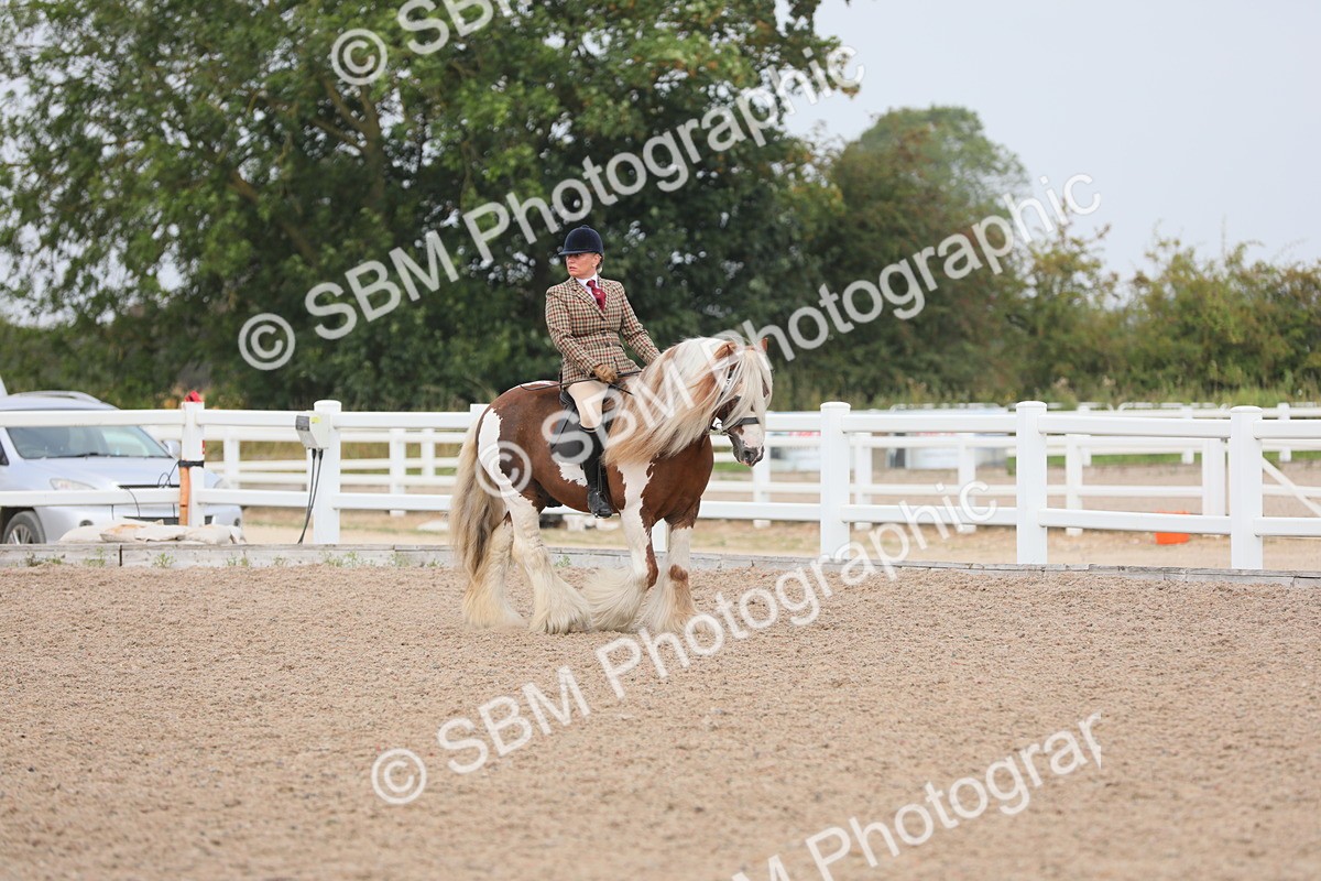 SBM_12663 - Class 307 Ridden Coloured Pony