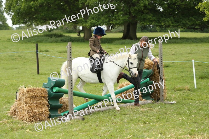 20250517-0557 - Class 20 - Beginners Working Hunter