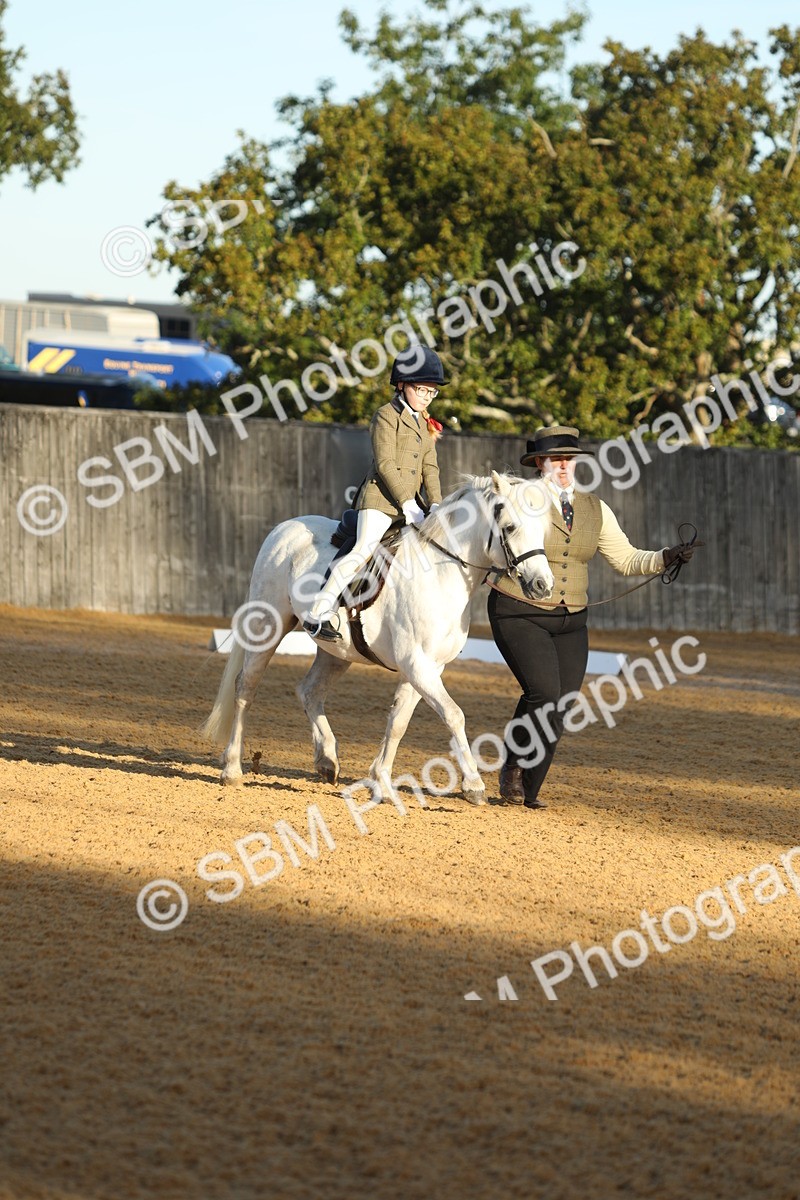 SBM_33582 - D26 - Starers - Lead Rein
