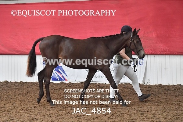 JAC_4854 - 4 River Dance, Take A Chance