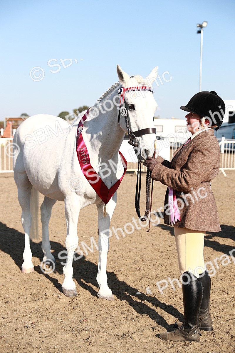 SBM_00136 - Class 40 Best Turned Out IH