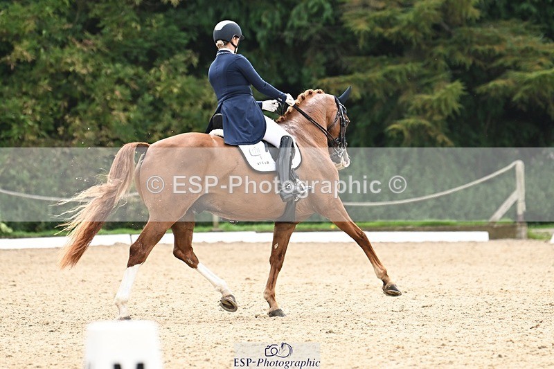 240811-134824-06178 - 139-Sara.Gallop-Jovano