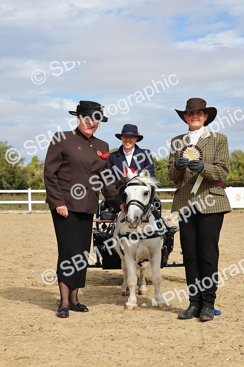 SBM_001110 - Class 14 - Shetland Ponies and Minatures