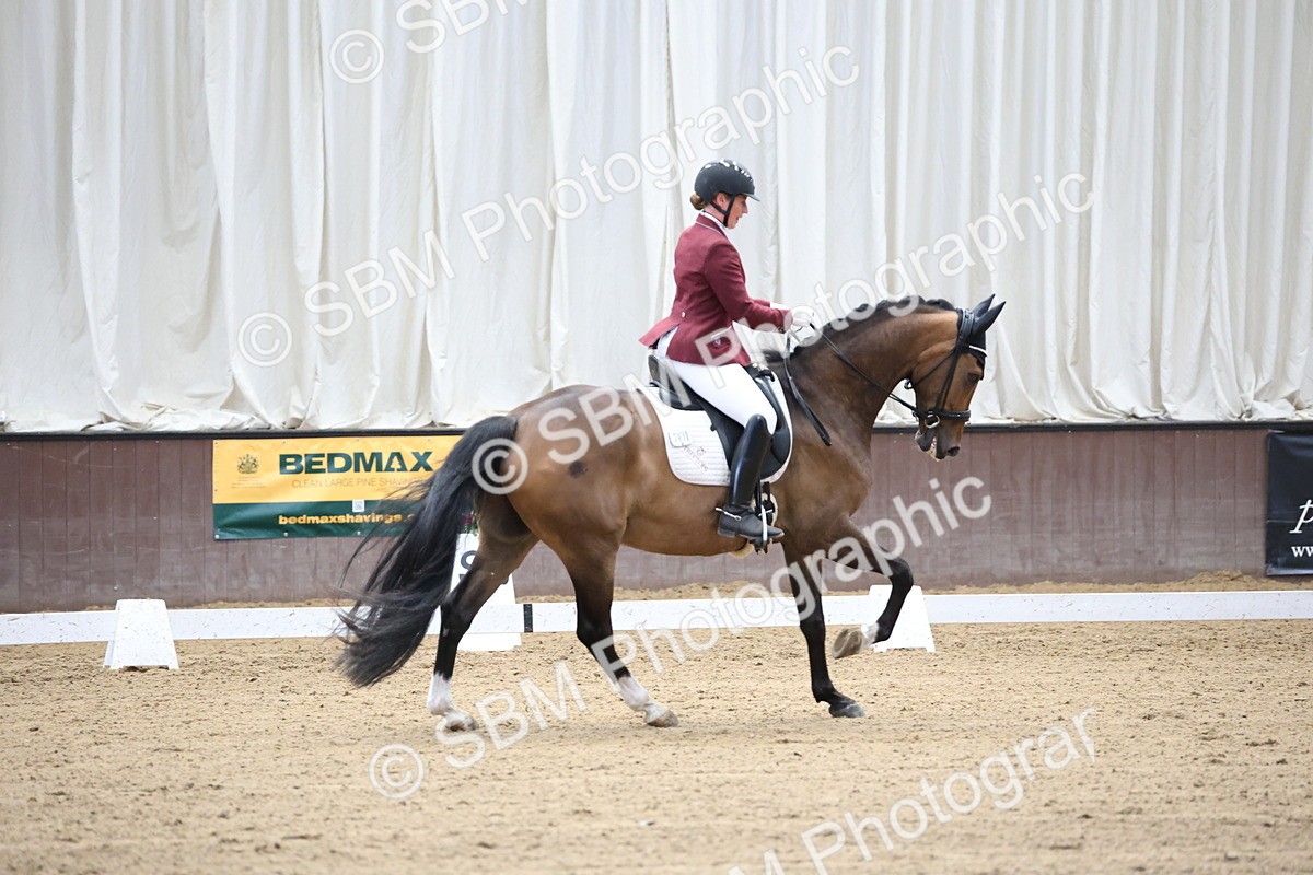 SBM_002164 - Class 5 - Novice 6 Gold - 9.00-10.10