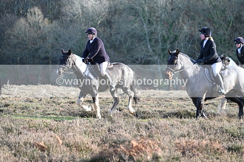 WJ7_7971 - Line 3 (no line 4 or 5)