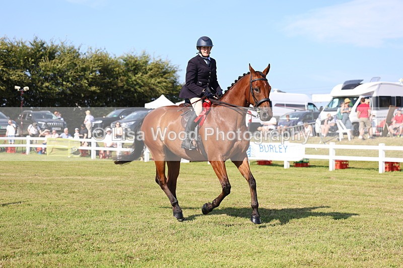 3E7A5744 - Class 2: Rising Star Large Hack/Riding Horse