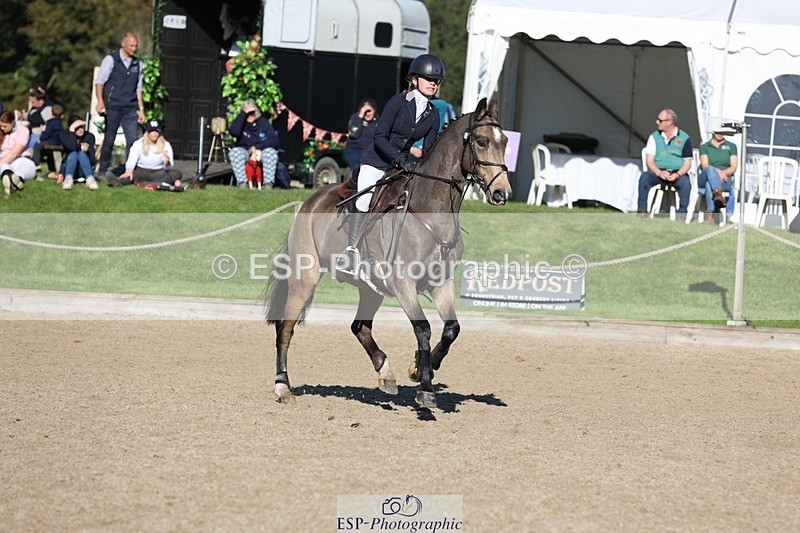 241027-114425-16958 - 319-Neve.Webber-MR.BUZZ