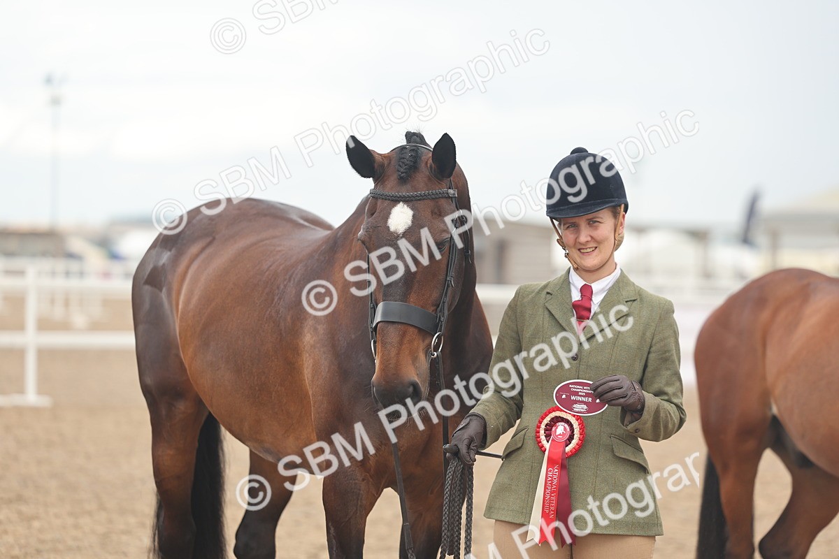 SBM_07941 - Class 28 - IH Veteran Horse