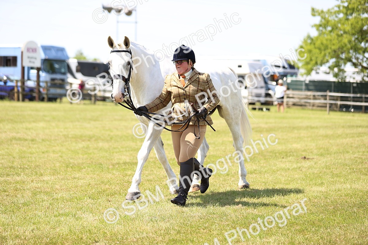SBM_16172 - Class 79-80 - LIHS BSHA Rising Star Ridden Hunter