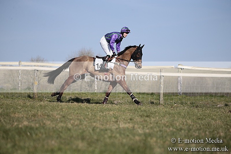 PtP 240218 220 - Vine & Craven Hunt Point-to-Point Barbury racecourse 24/02/18