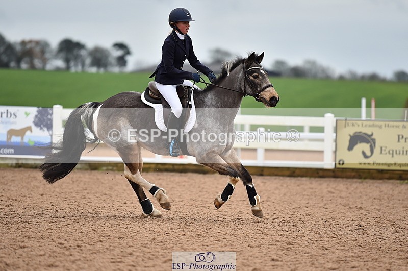 231203A-100004-00245 - Cls 2 British Novice & 80cm Open