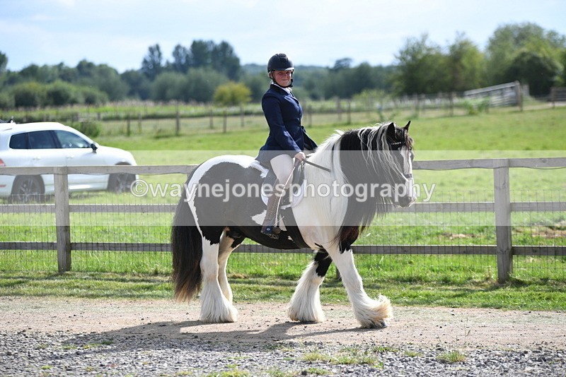 WJ5_7930 - Time 16:56 to 17:14