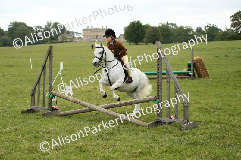 20250517-1089 - Class 21 - Novice Working Hunter