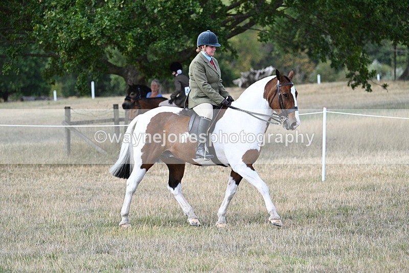 WJ7_6852 - Class 14 Ridden Coloured