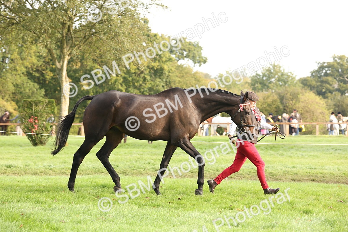 SBM_54667 - S53 - Hunter In Hand