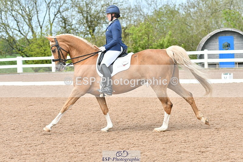 230511A-145101-01031 - BD Cls 14 Adv Medium 98