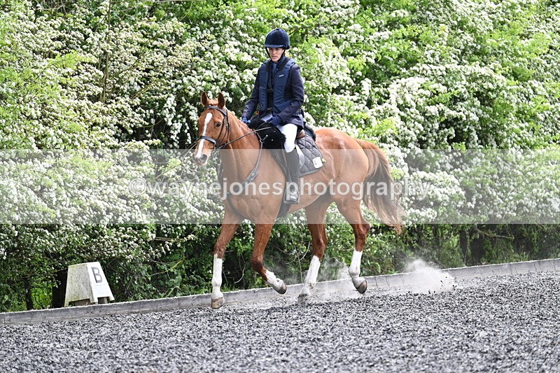 WJ7_0816 - Time 14:01 to 14:12