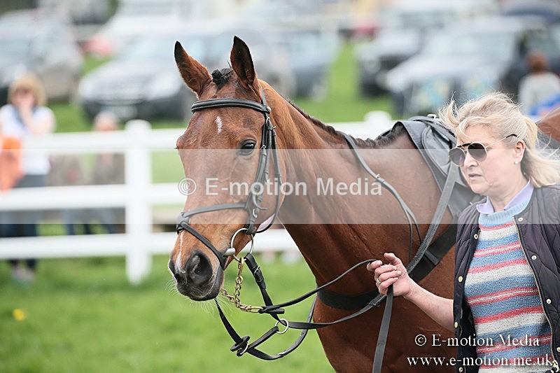 PtP 210418 138 - South & West Wilts Point-to-Point Larkhill 21/04/18