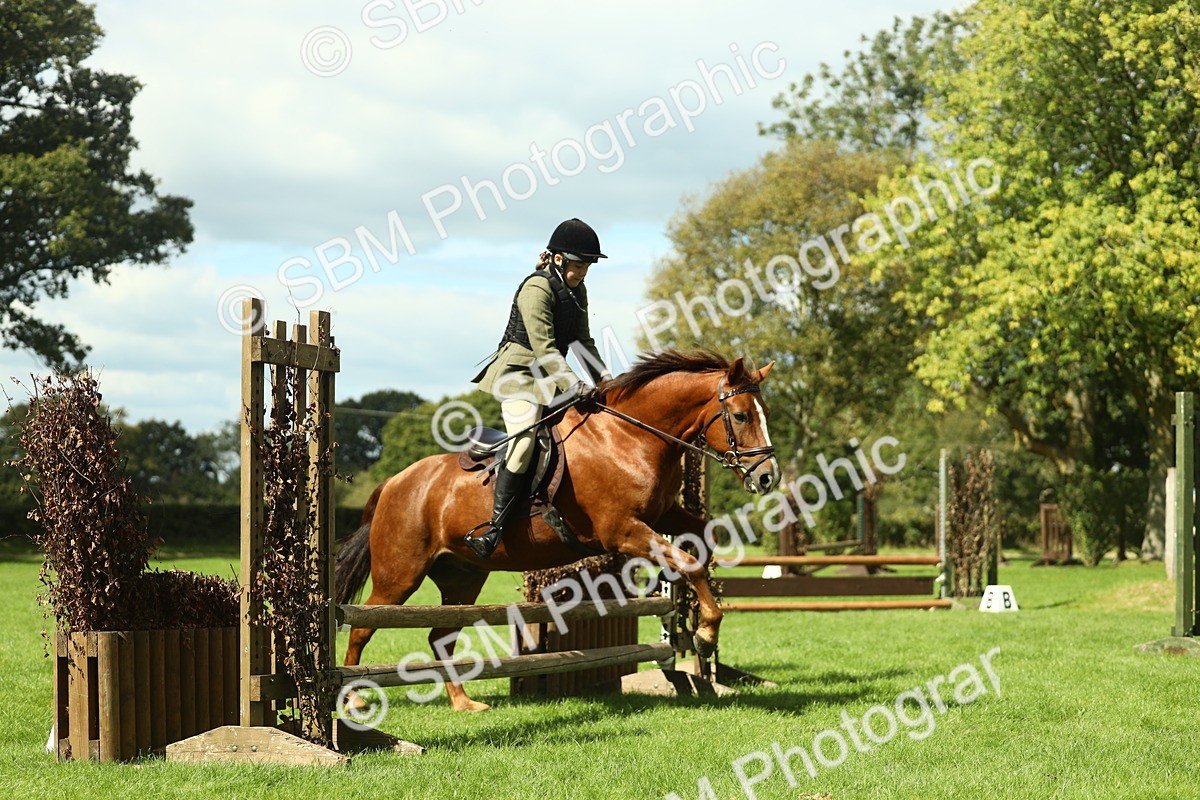 SBM_42888 - S30 - M&M Working hunter Pony