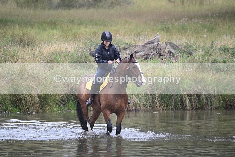 WJ7_8049 - Time at Water 11:06 to 11:21