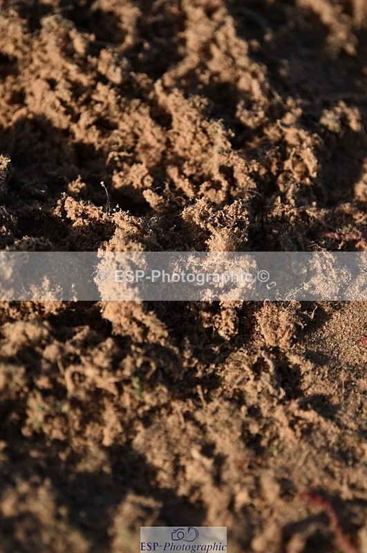 231015A-092316-06691 - Cls 22 British Novice & 90cm Open