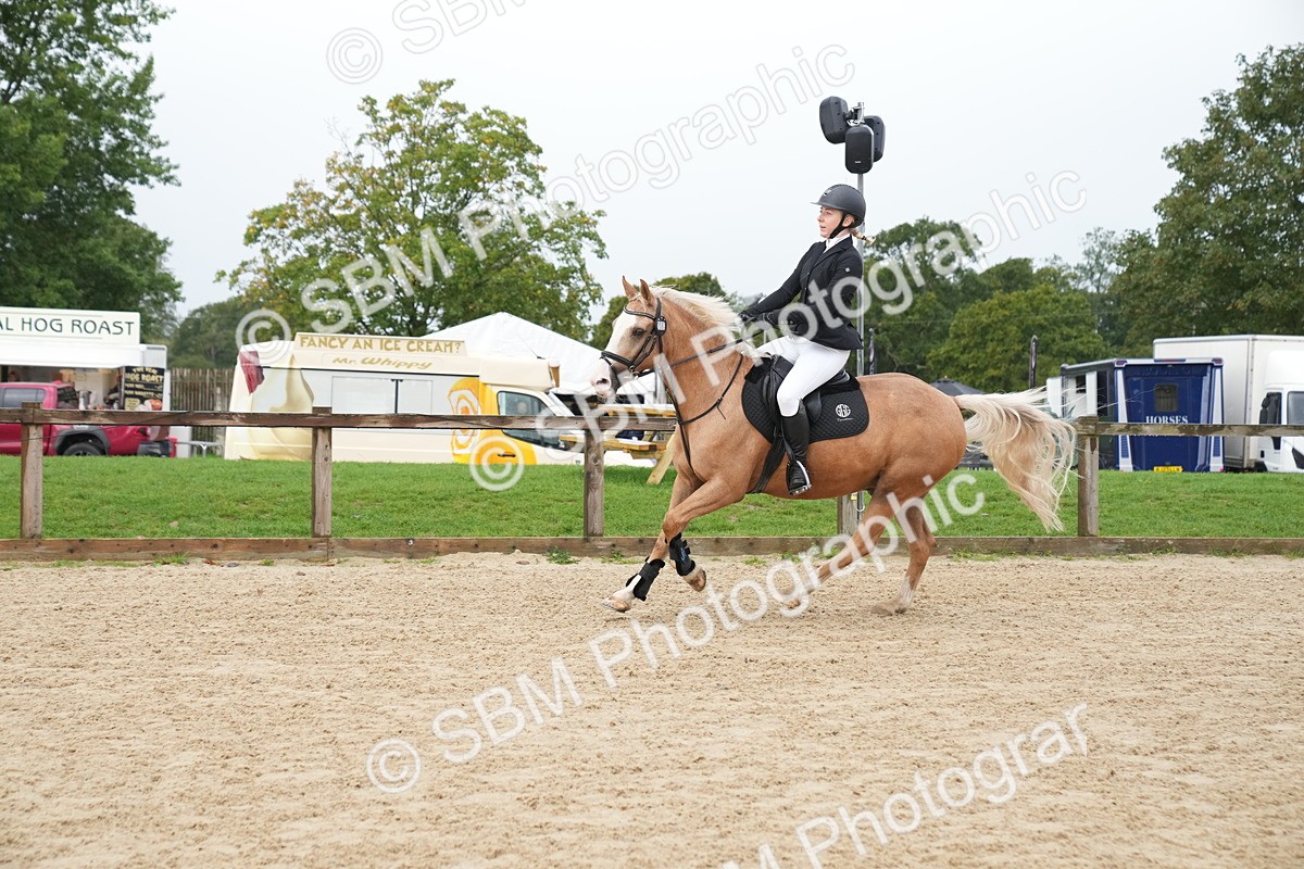 SBM_01407 - J54 - Clear Round 50cm