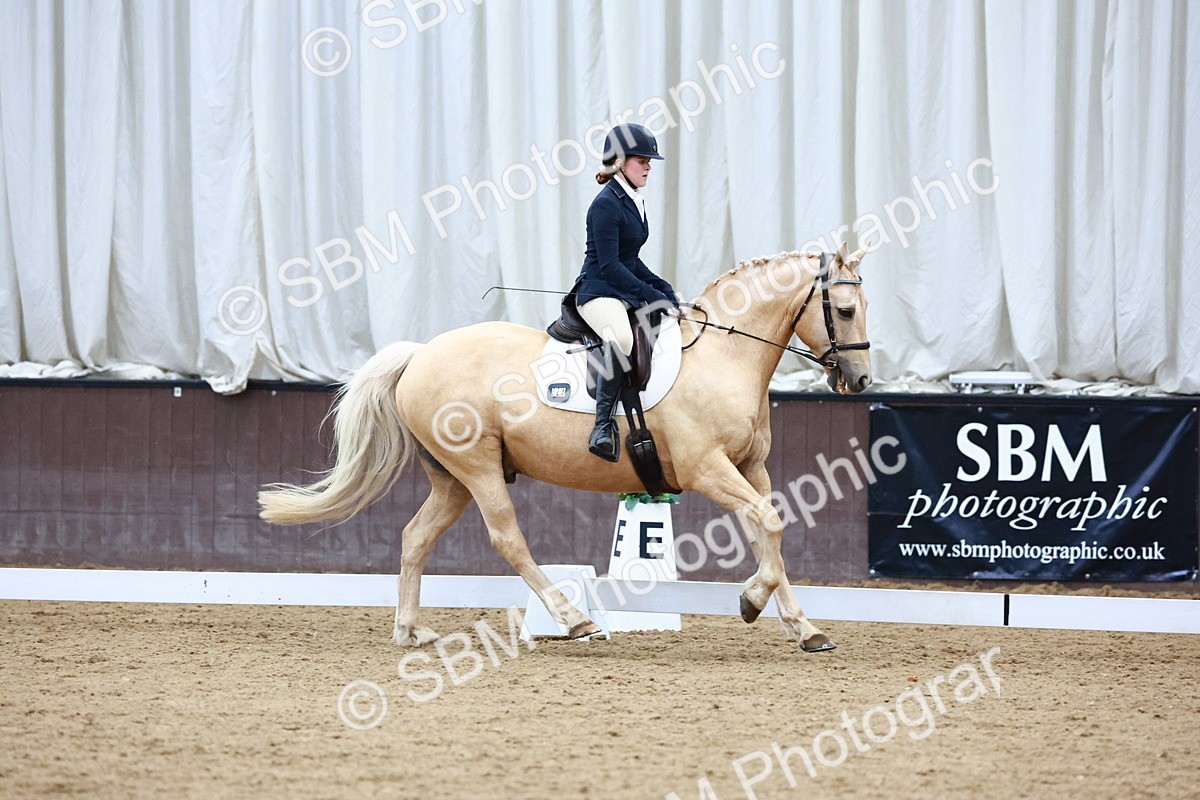 0B8A8295 - Class 5 - Novice 2