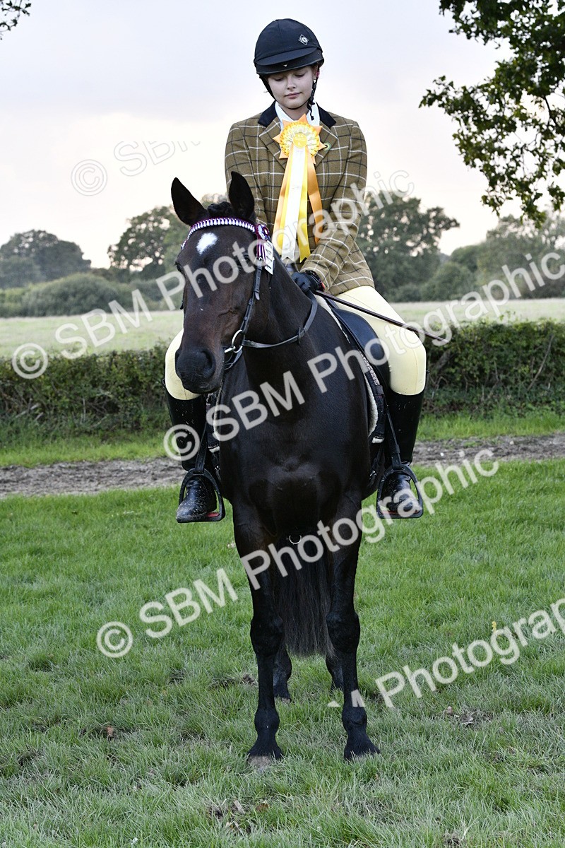 SBM_53628 - S14 - Riding Club Horse