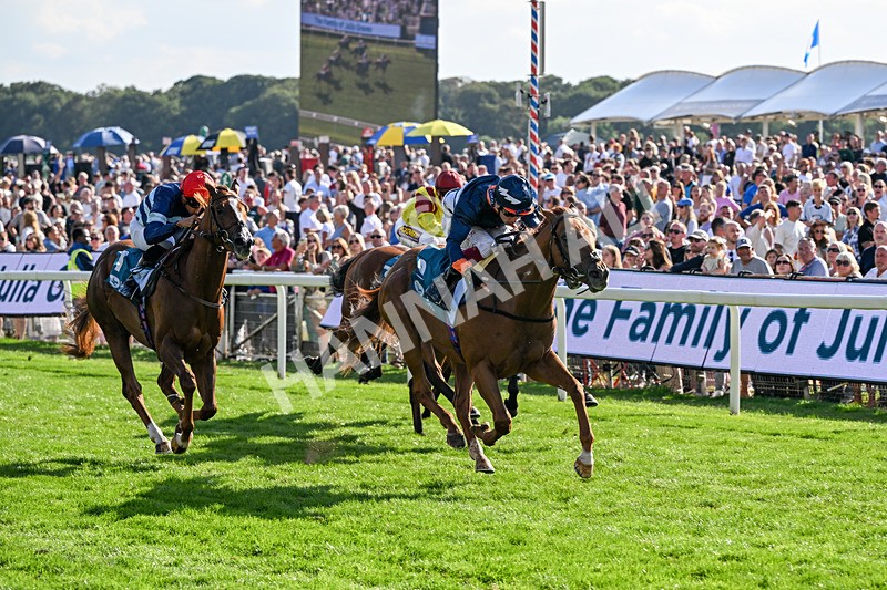 220826-Race 6-Sale Shark-1558 - Race 6 16.45pm Julia Graves Roses Stakes