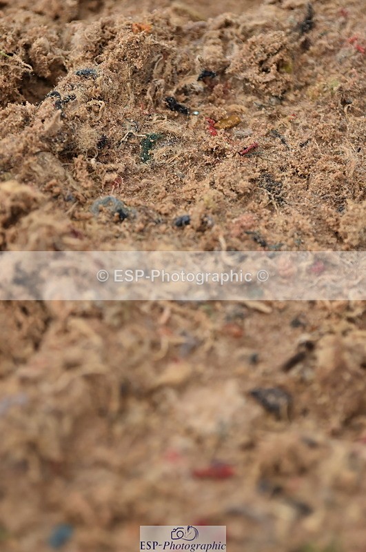 231029A-110508-02546 - Pony British Novice & 80cm Open