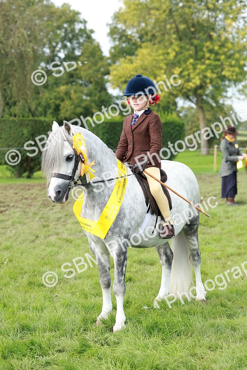 SBM_56458 - S39 - Starters In Hand Showing
