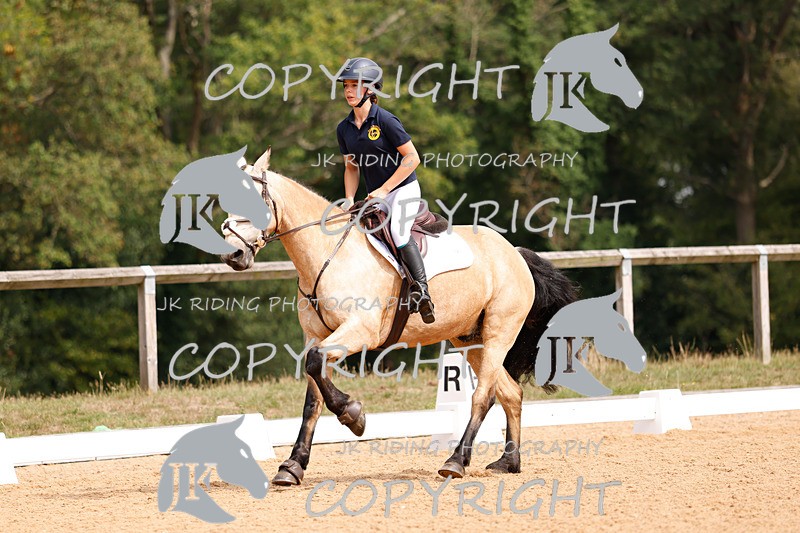 _R6A2830 - Dressage Morning