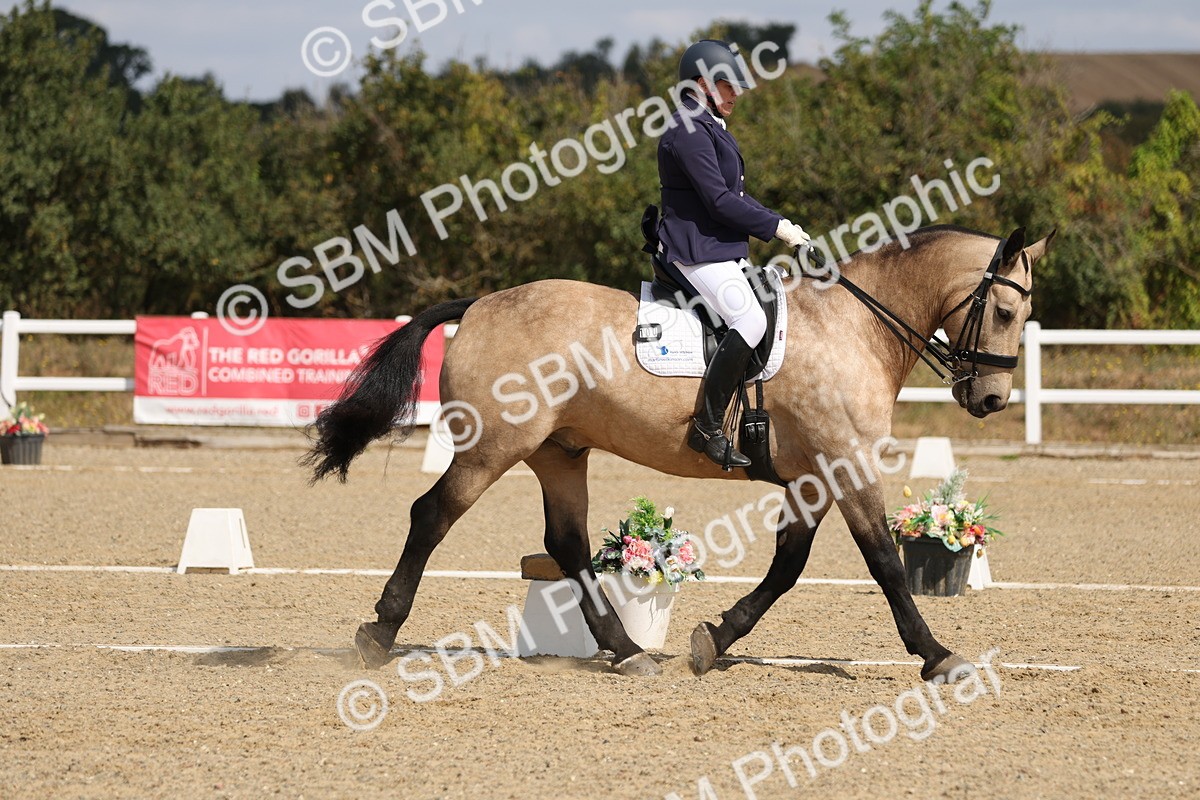 SBM_021133 - Class 21 - M5 Bronze 10.58.12.10