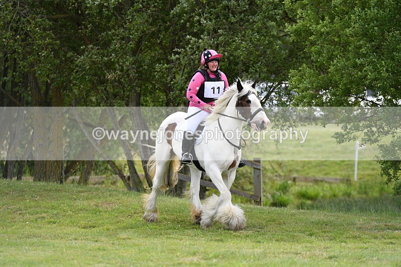 WJ5_2561 - Class 2 40cm