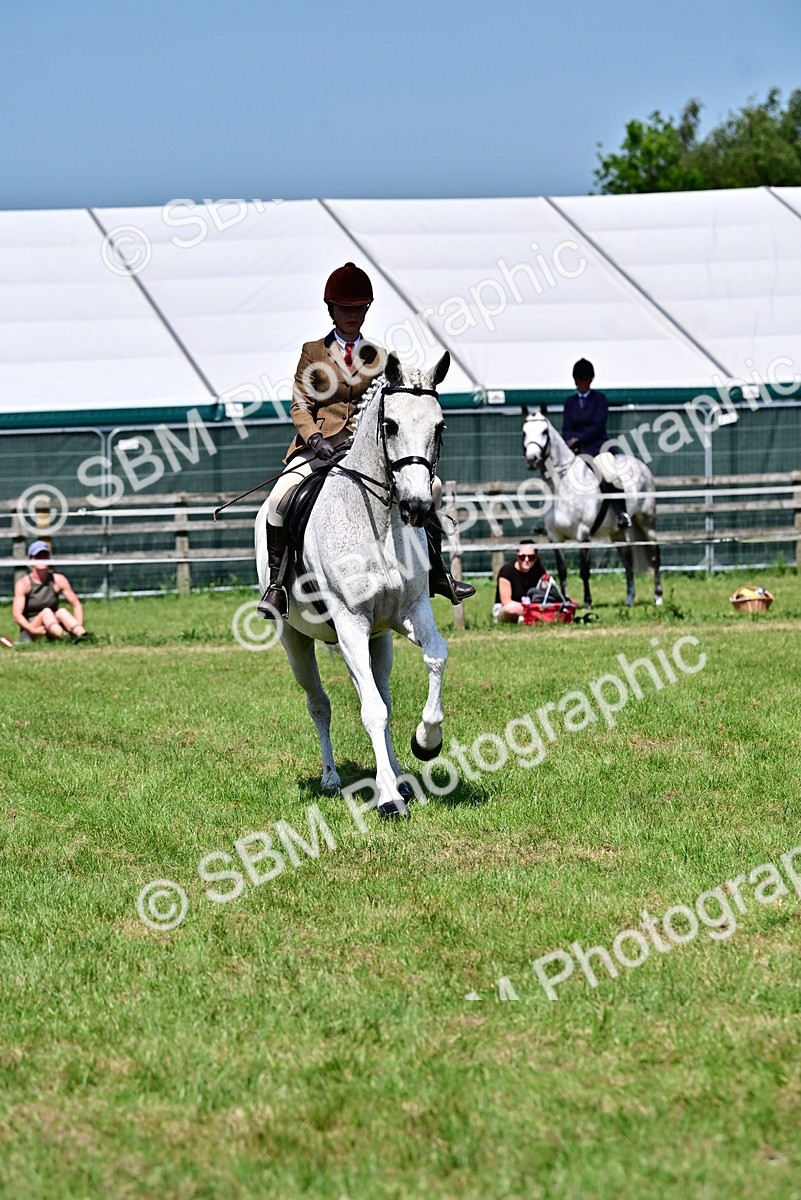 SBM_15371 - Class 95-97 - BSPS LHS Performance Ponies