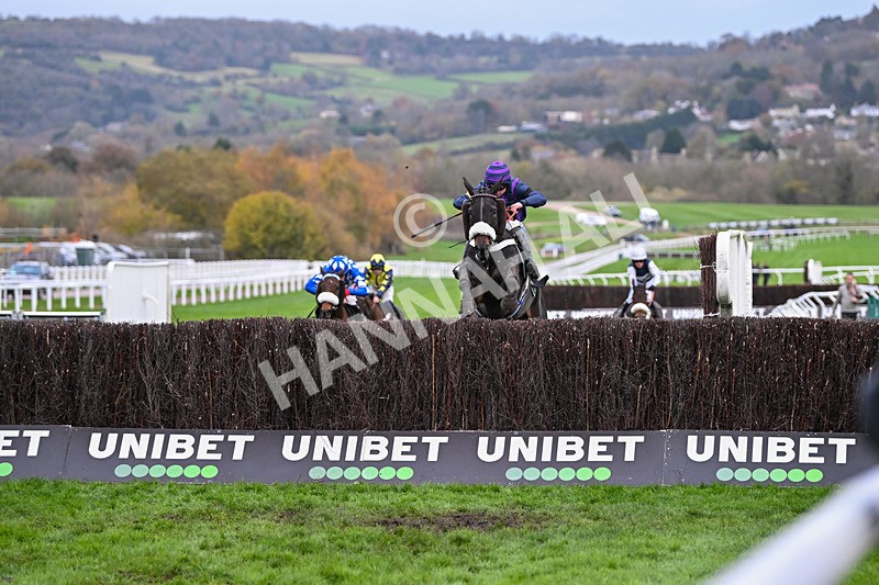 171124-Race 4-Abuffalosoldier-3598 - Race 4