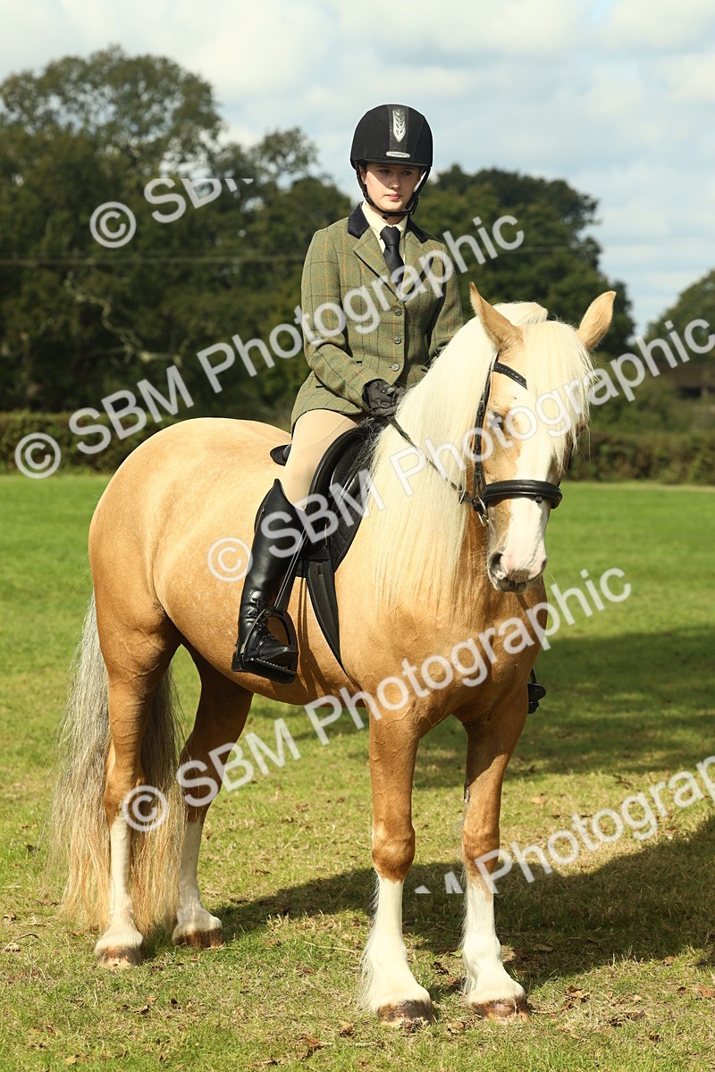 SBM_62683 - S63 - Other Coloured Horse Ridden