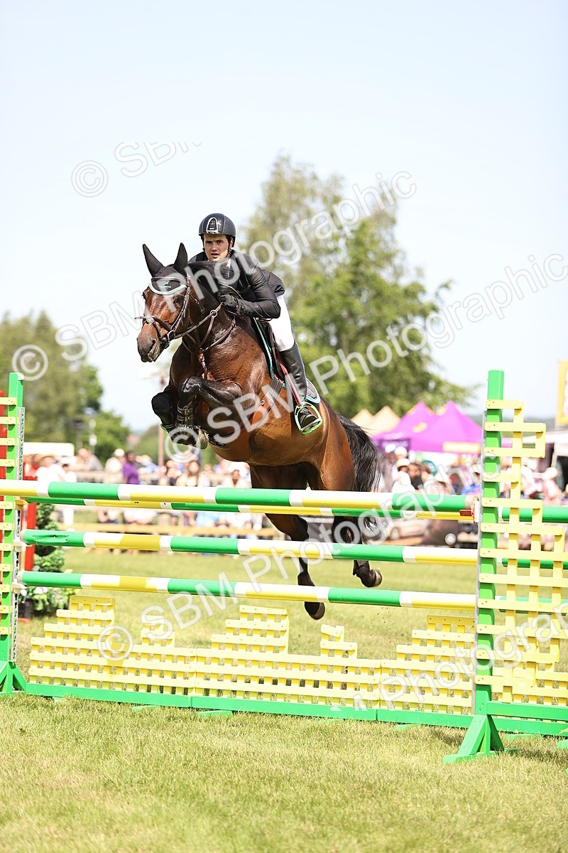 SBM_03991 - Class 201 - British Horse Feedds Speedi Beet HOYS Grade C