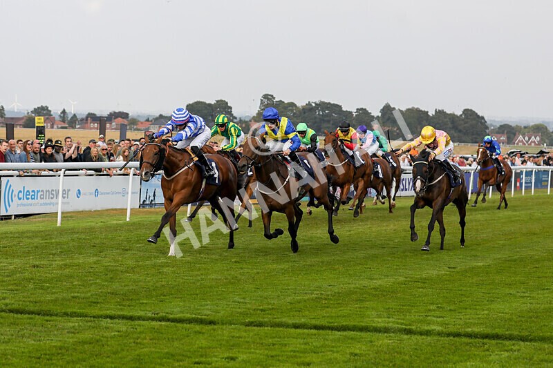 310824-Race 8-This Years Love-2352